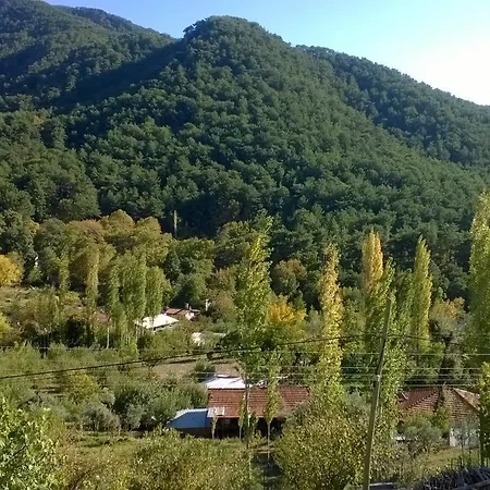 Flat Bird Nest * Koycegiz (Mugla)