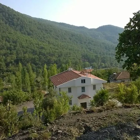 Flat Bird Nest * Koycegiz (Mugla)