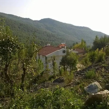 아파트 Flat Bird Nest *