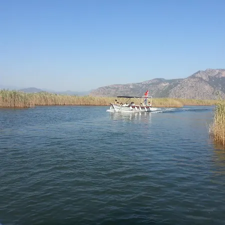 Flat Bird Nest * Koycegiz (Mugla)