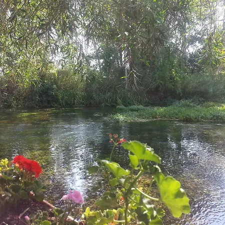 Flat Bird Nest * Koycegiz (Mugla)