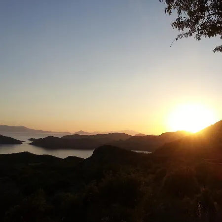 Flat Bird Nest * Koycegiz (Mugla)